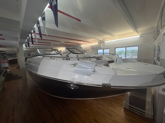 231DC Stingray 2025 Mercury PRÉCONFIGURÉ (prix avec 200XL)
