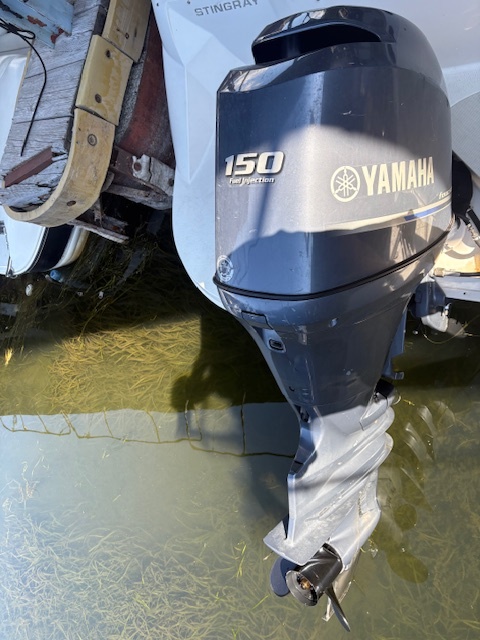 192SC Stingray 2015
