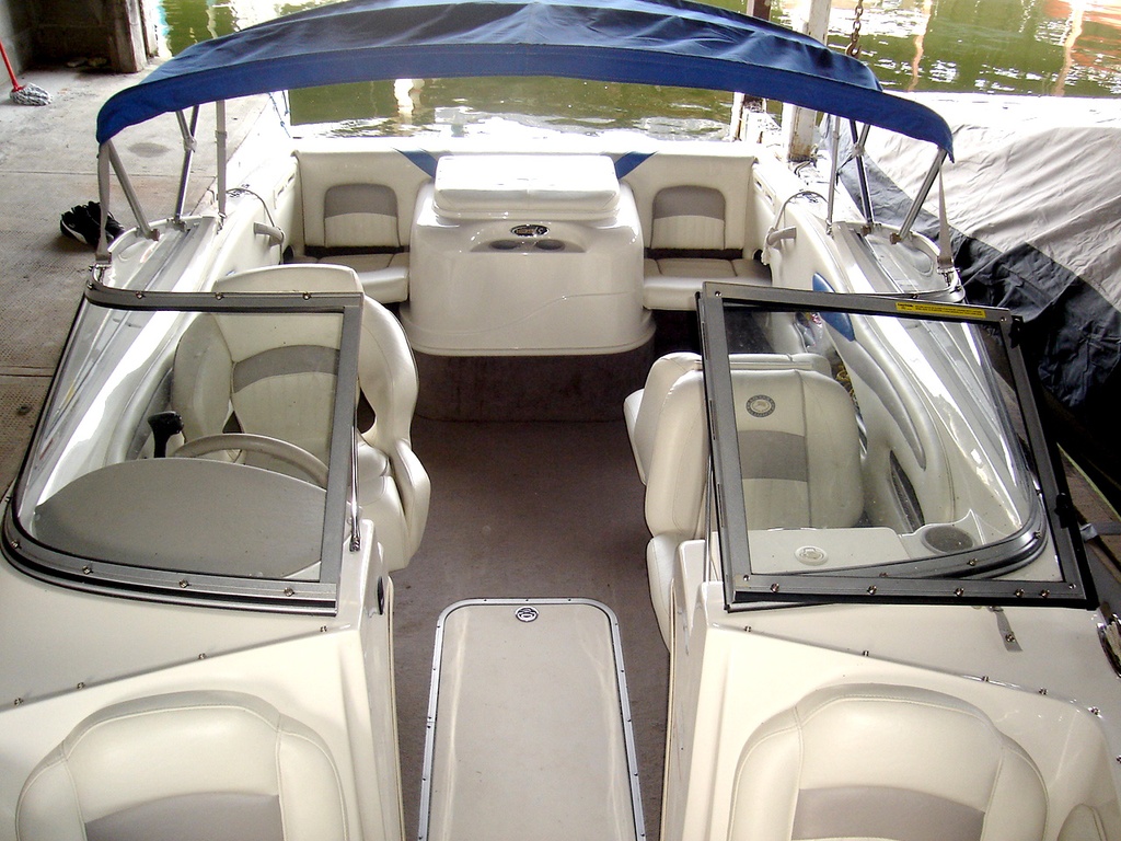 195 LS Stingray