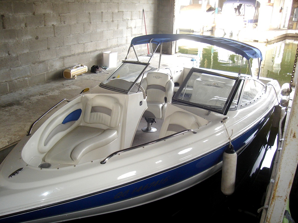 195 LS Stingray