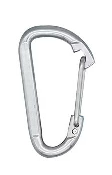 Carbine Hook