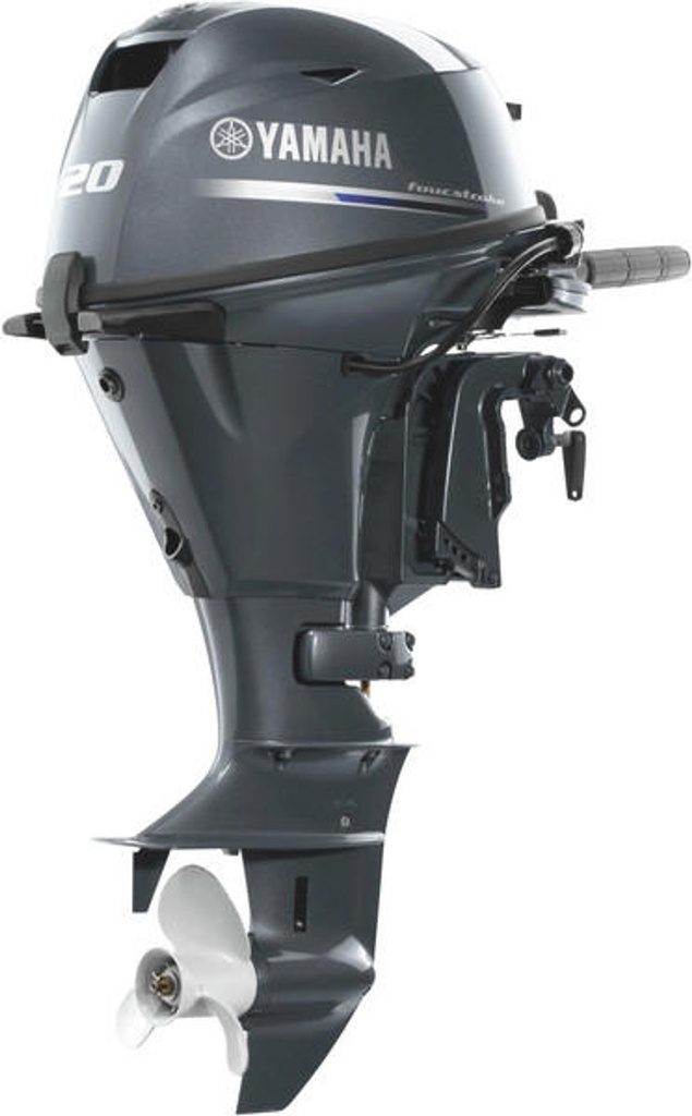 Yamaha F20MLHH-P 12