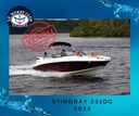 231DC PNYUS1SWD222