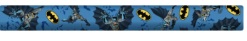 [23-wpf-4835] Batman Soft Top Pool Noddle