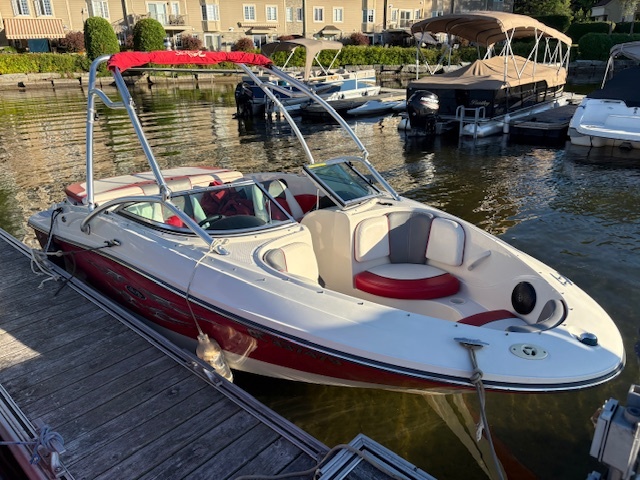 Motor boat - Searay 195 Sport