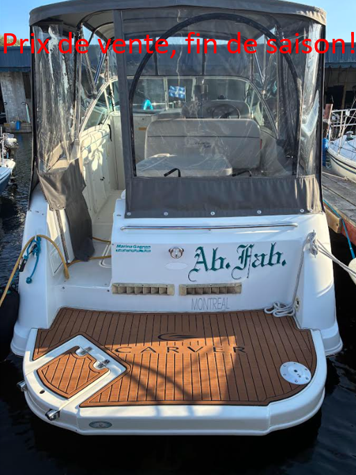 Carver express 250, 1996 Prix spécial pour vente rapide!