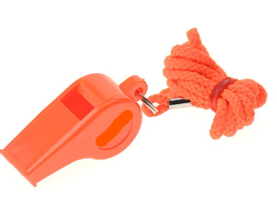 [746938] Whistle