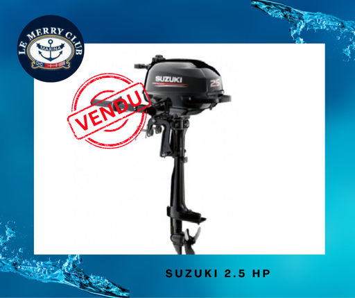[MS2.5 (00252F-246254) A15''] Moteur DF2.5SK22-YAY blk 22 A15''